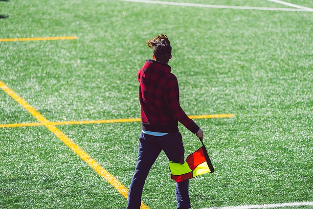 的必然因素 的必然因素