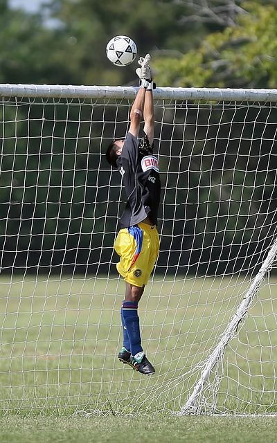 能否在新的 能否在新的