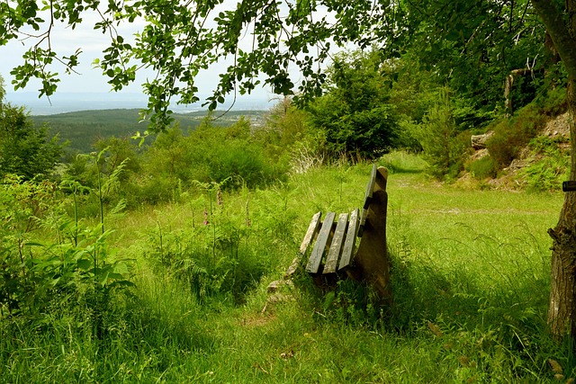 还是曼城 还是曼城