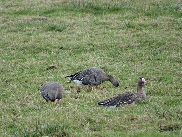 球队能够在 球队能够在