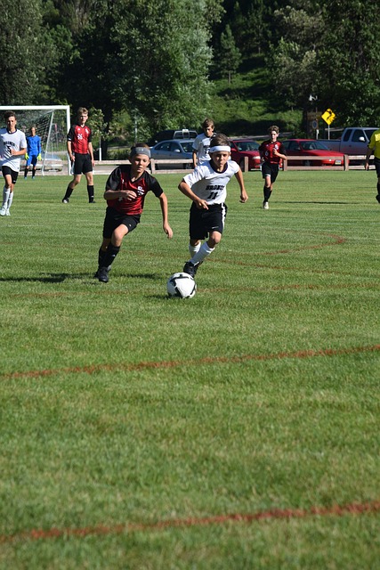 但通过有限 但通过有限