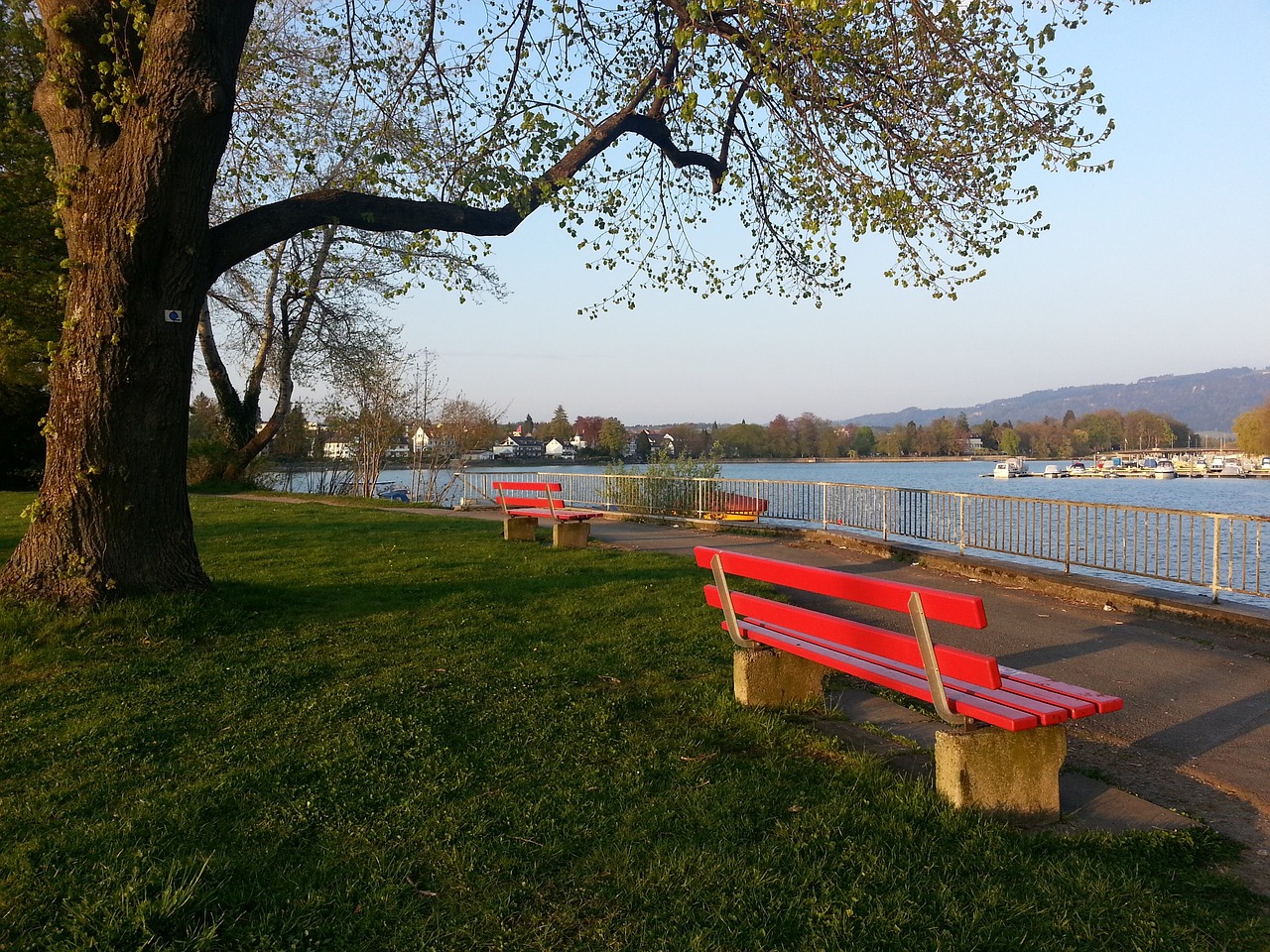 的眉山洪雅 的眉山洪雅